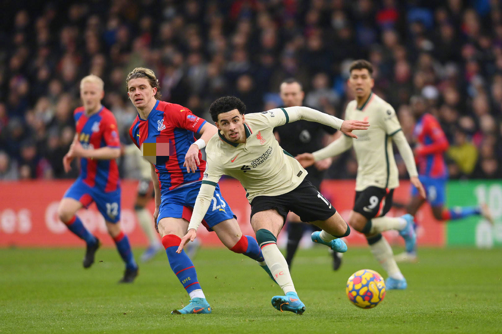 了些许灰色 了些许灰色